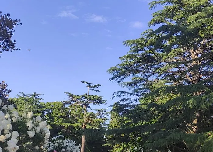 The Sun And The Moon * 扎达尔